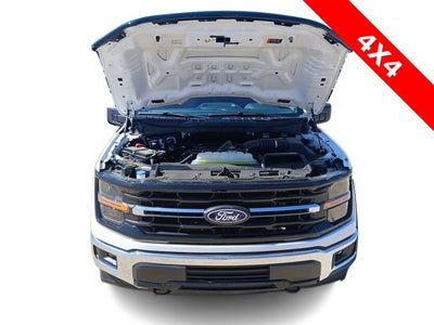 2025 Ford F-150 XLT 4WD